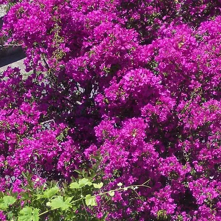 Semesterpark Costa Del Mito