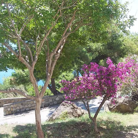 假日公园 Costa Del Mito 3*